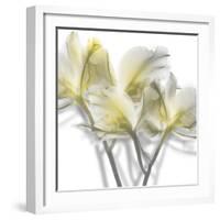 Unfocused Light 2-Albert Koetsier-Framed Photographic Print