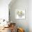 Unfocused Light 2-Albert Koetsier-Framed Photographic Print displayed on a wall