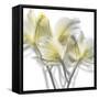 Unfocused Light 2-Albert Koetsier-Framed Stretched Canvas