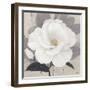 Unfolding Blossoms Detail 2-Ivo Stoyanov-Framed Art Print