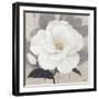 Unfolding Blossoms Detail 2-Ivo Stoyanov-Framed Art Print