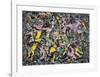 Unformed Figure, 1953          -Jackson Pollock-Framed Art Print