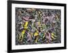 Unformed Figure, 1953          -Jackson Pollock-Framed Art Print