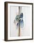 Unhooked I-Sydney Edmunds-Framed Giclee Print