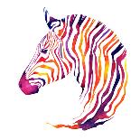 Hand Drawn Watercolor Zebra's Head. Good Quality of Illustration. Multicolor on White Background. N-Uni Ula-Photographic Print
