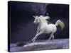 Unicorn 56-Bob Langrish-Stretched Canvas
