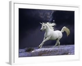 Unicorn 56-Bob Langrish-Framed Photographic Print