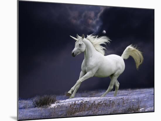 Unicorn 56-Bob Langrish-Mounted Photographic Print