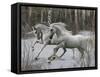 Unicorn 57-Bob Langrish-Framed Stretched Canvas