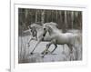 Unicorn 57-Bob Langrish-Framed Photographic Print