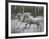 Unicorn 57-Bob Langrish-Framed Photographic Print