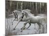 Unicorn 57-Bob Langrish-Mounted Photographic Print