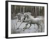 Unicorn 57-Bob Langrish-Framed Photographic Print