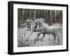 Unicorn 57-Bob Langrish-Framed Photographic Print