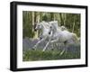 Unicorn 59-Bob Langrish-Framed Premium Photographic Print