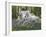 Unicorn 59-Bob Langrish-Framed Photographic Print