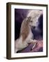 Unicorn 60-Bob Langrish-Framed Photographic Print