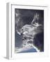 Unicorn 62-Bob Langrish-Framed Photographic Print