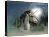 Unicorn 63-Bob Langrish-Stretched Canvas