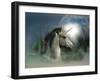 Unicorn 63-Bob Langrish-Framed Photographic Print