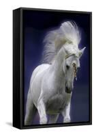 Unicorn 65-Bob Langrish-Framed Stretched Canvas