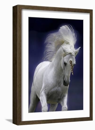 Unicorn 65-Bob Langrish-Framed Photographic Print