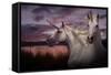 Unicorn 70-Bob Langrish-Framed Stretched Canvas