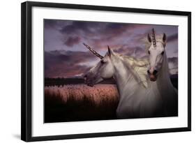 Unicorn 70-Bob Langrish-Framed Photographic Print