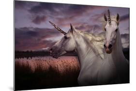 Unicorn 70-Bob Langrish-Mounted Photographic Print