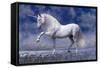 Unicorn 80-Bob Langrish-Framed Stretched Canvas