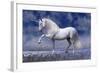 Unicorn 80-Bob Langrish-Framed Photographic Print