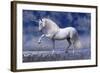 Unicorn 80-Bob Langrish-Framed Photographic Print