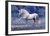 Unicorn 80-Bob Langrish-Framed Photographic Print