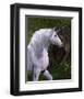 Unicorn Buck in Magical Forest-null-Framed Art Print