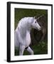 Unicorn Buck in Magical Forest-null-Framed Art Print