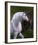 Unicorn Buck in Magical Forest-null-Framed Art Print