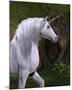 Unicorn Buck in Magical Forest-null-Mounted Art Print