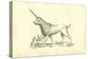 Unicorn (Camphurch Effigies)-Ulisse Aldrovandi-Stretched Canvas