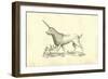 Unicorn (Camphurch Effigies)-Ulisse Aldrovandi-Framed Art Print