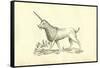 Unicorn (Camphurch Effigies)-Ulisse Aldrovandi-Framed Stretched Canvas