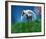 Unicorn in the Field with Moon-null-Framed Art Print