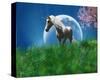 Unicorn in the Field with Moon-null-Stretched Canvas