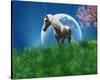 Unicorn in the Field with Moon-null-Stretched Canvas