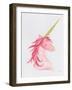 Unicorn Magic I-Melissa Averinos-Framed Art Print