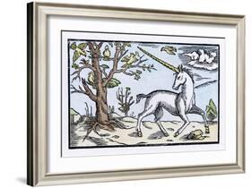 Unicorn Near a Tree with Birds in the Branches-null-Framed Art Print