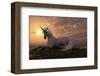 Unicorn on Hilly Sunset Knoll-null-Framed Art Print