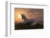 Unicorn on Hilly Sunset Knoll-null-Framed Art Print