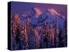 Unicorn Peak, Mt. Rainier National Park, Washington, USA-Art Wolfe-Stretched Canvas