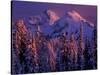 Unicorn Peak, Mt. Rainier National Park, Washington, USA-Art Wolfe-Stretched Canvas