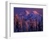 Unicorn Peak, Mt. Rainier National Park, Washington, USA-Art Wolfe-Framed Photographic Print